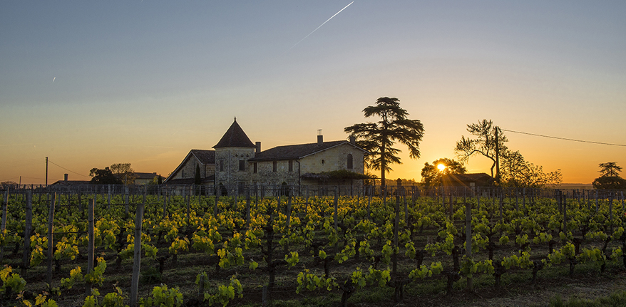 La mondotte - AOC Saint-Émilion Grand Cru
